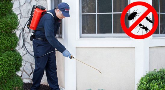 Çerkezköy Haşere İlaçlama böcek ilaçlama ve haşere kontrolü — ilaclama-tr.com